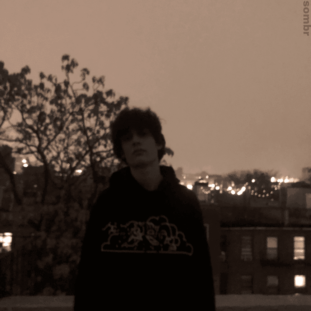 fine - sombr Cover Art