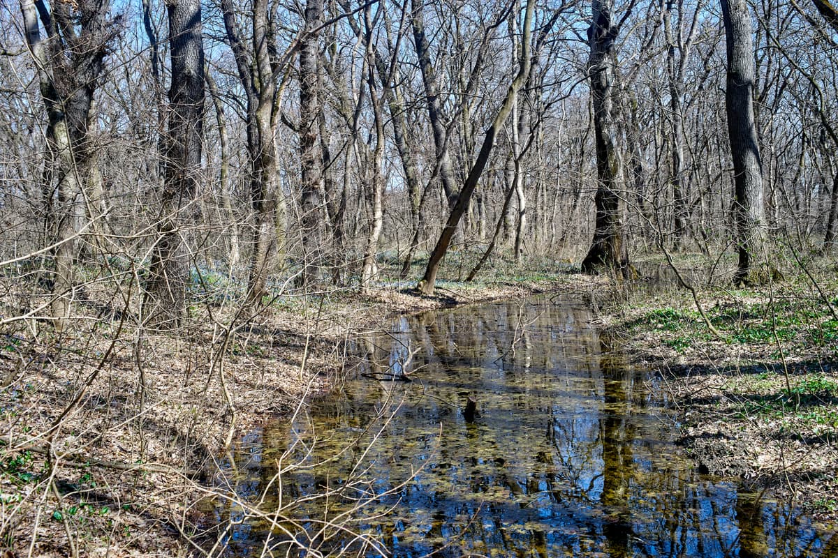 All About Noah Kahan’s ‘Stick Season’ Lyrics –Full Text and Meaning