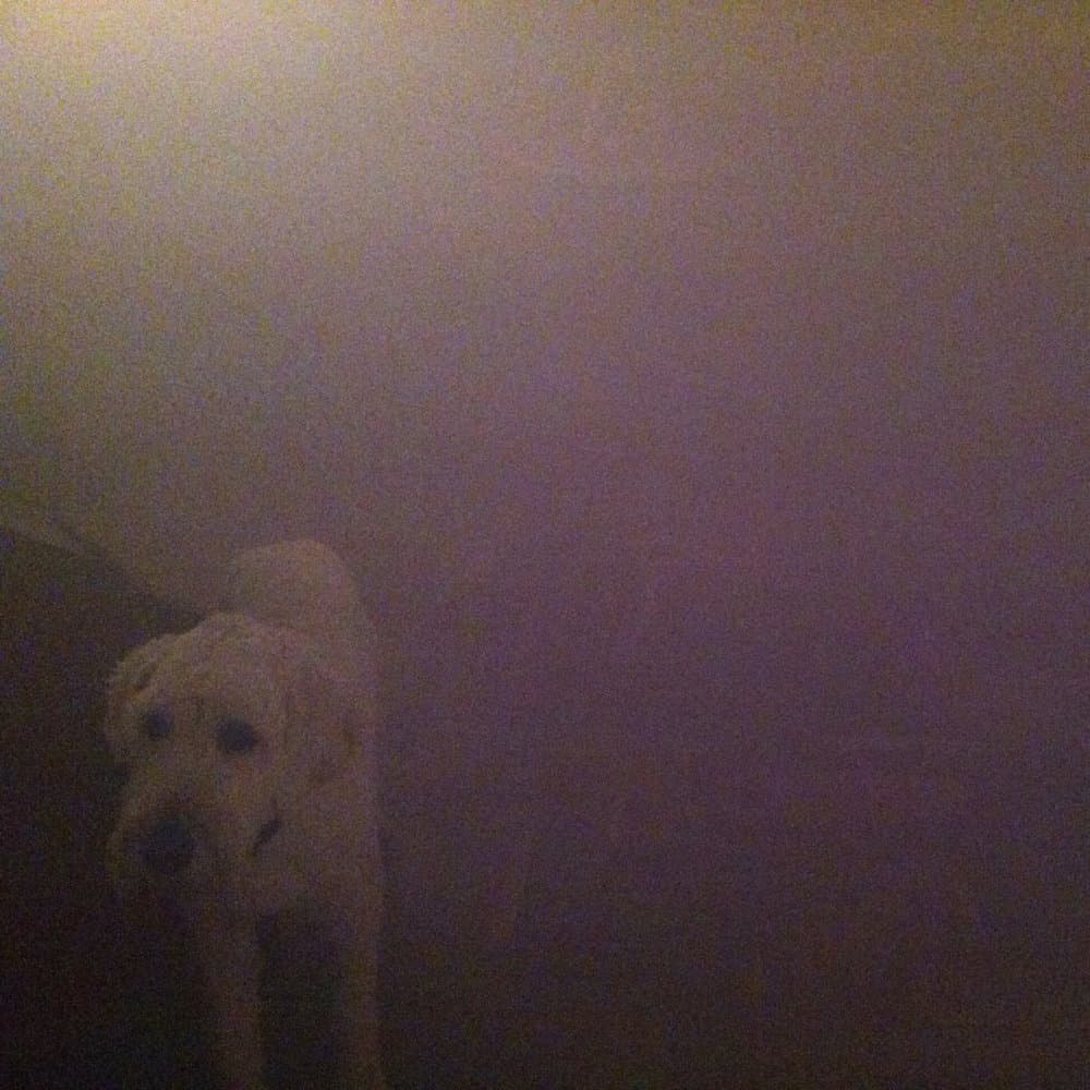 Dog In The Fog: ‘Replica’ Collaborations & Remixes Cover Art