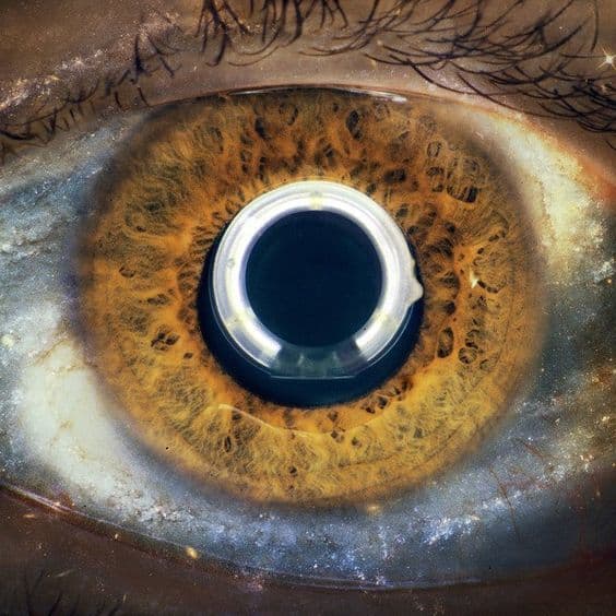 Album cover art for "Non finir�" by i cani