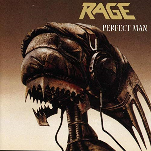 Perfect Man