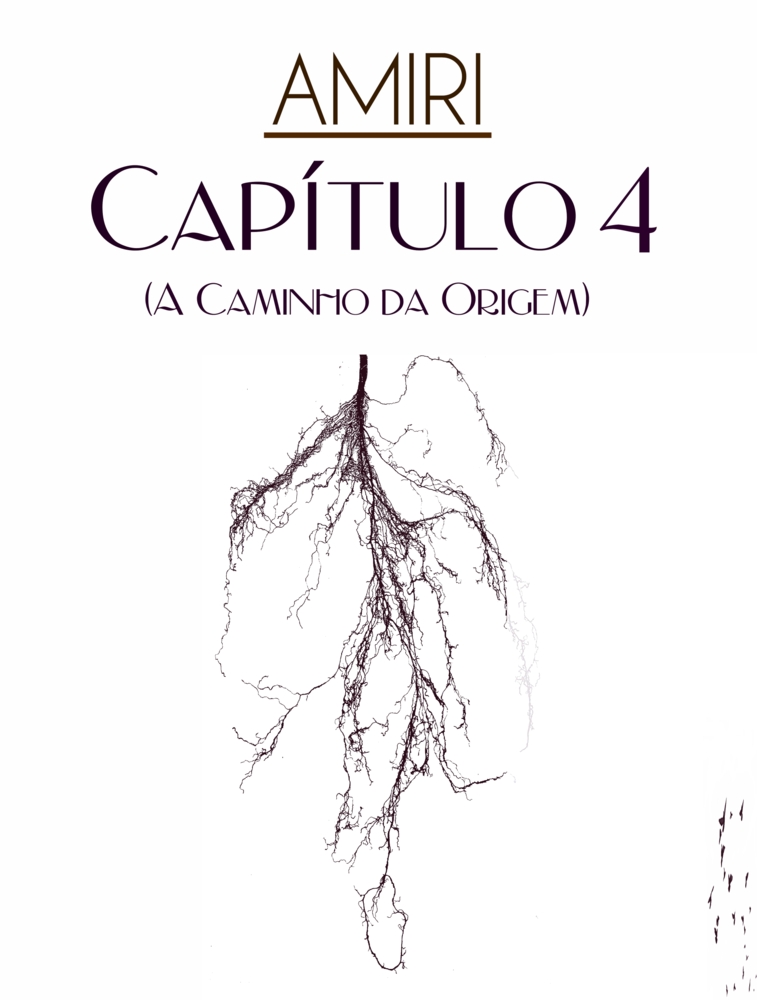 Capítulo 4: A Caminho da Origem