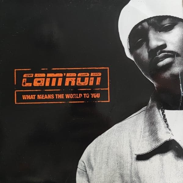 Album cover art for "What Means the World to You" by Cam’ron & Keema