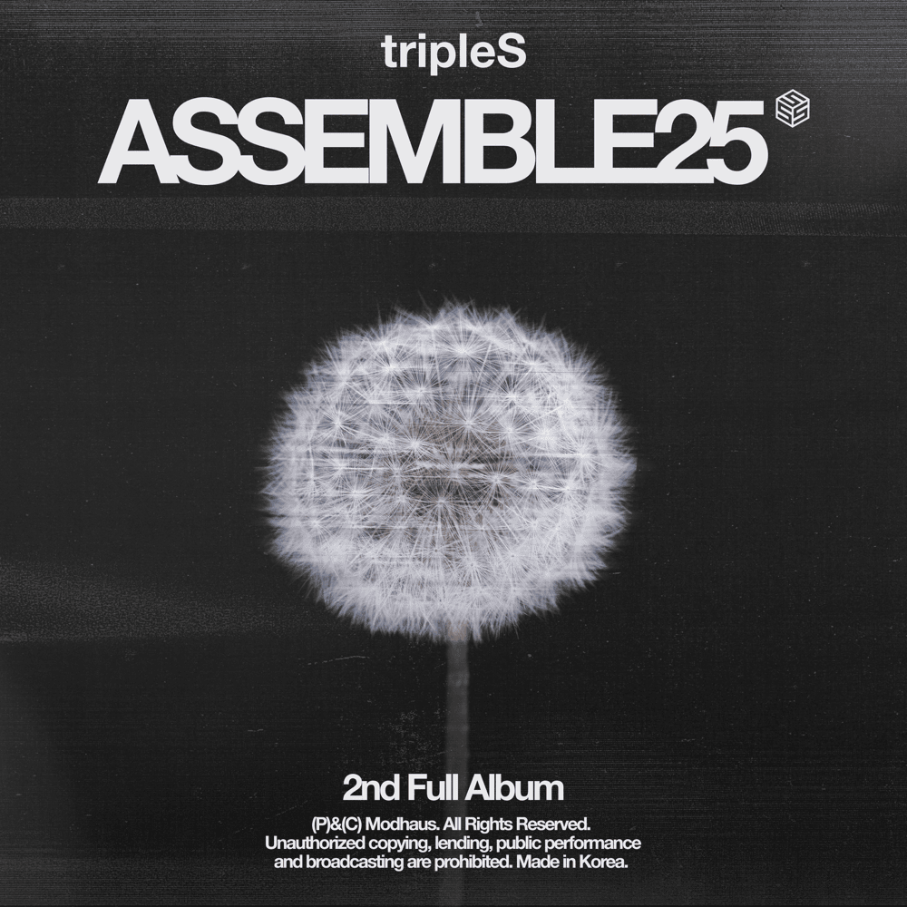˂ASSEMBLE25˃