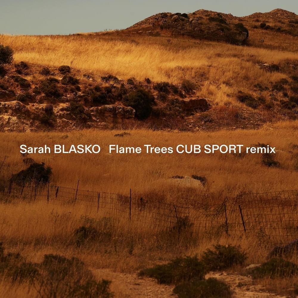 Flame Trees (Cub Sport Remix) - Single
