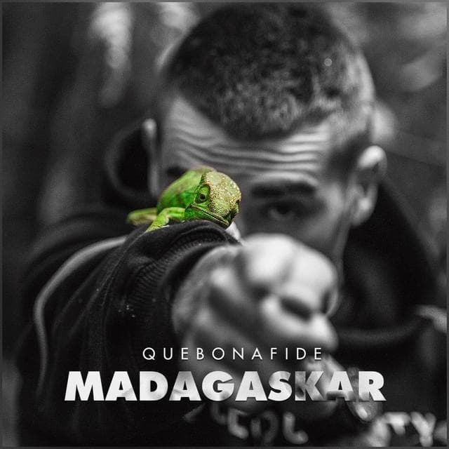 Album cover art for "Madagaskar" by Quebonafide