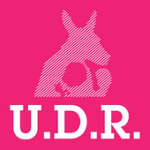 Album cover art for "Clube Tião Caminhoneiro Hell" by U.D.R