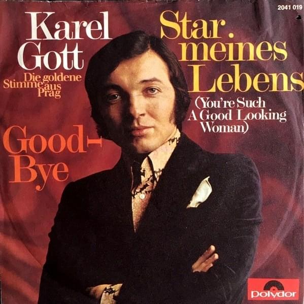 Star meines Lebens (Single)