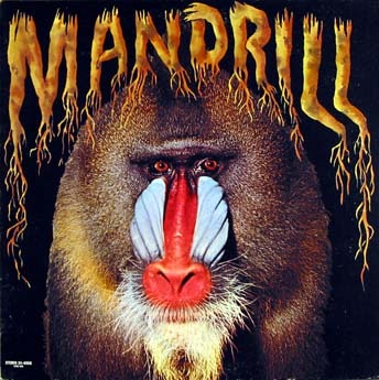 Mandrill