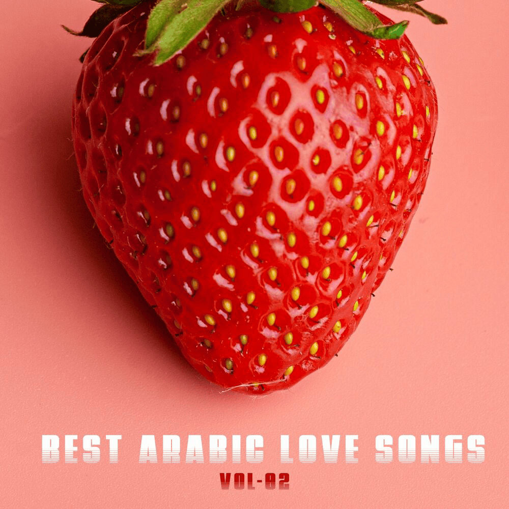 Best Arabic Love Songs Vol 2