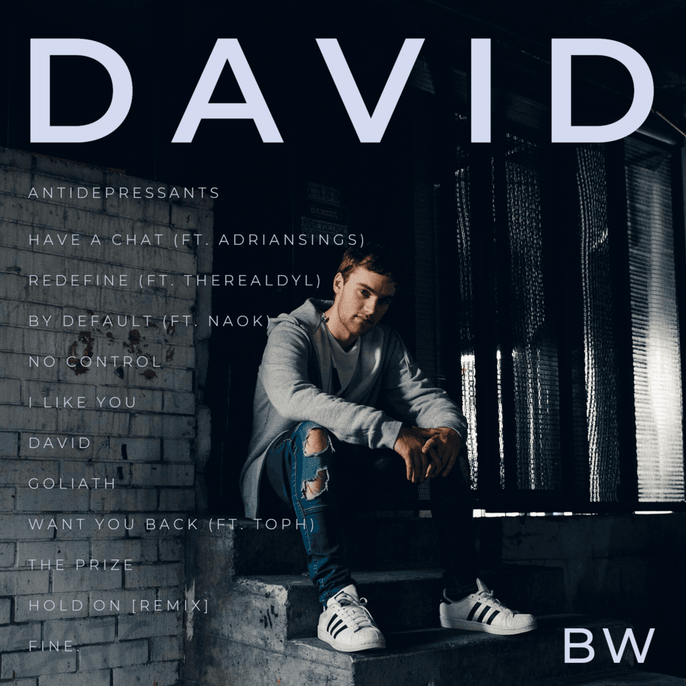 David Cover Art