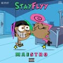 Stay FLYY Cover Art
