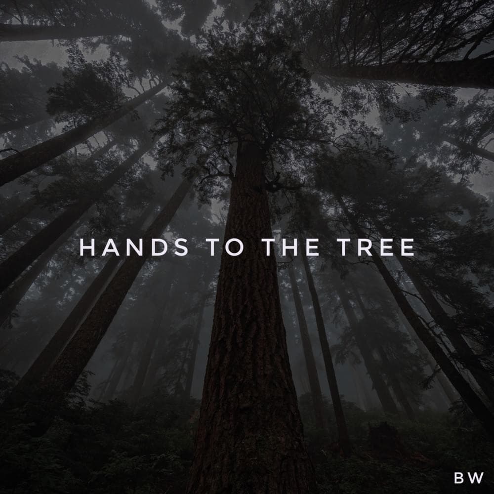 Hands to the tree Cover Art