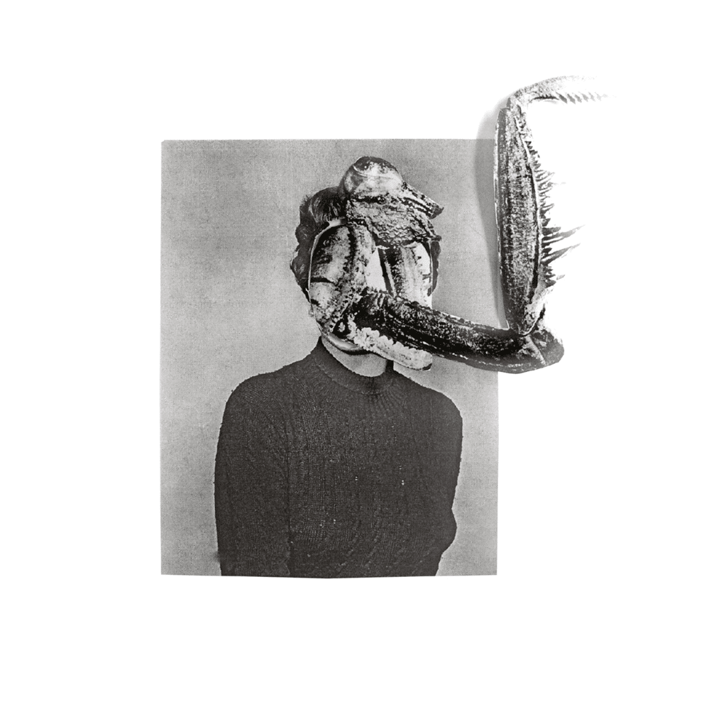 Mantiis - An Agony in Fourteen Bites