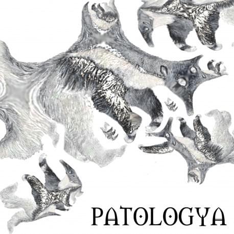 PATOLOGYA