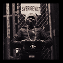 Sverige Vet Cover Art