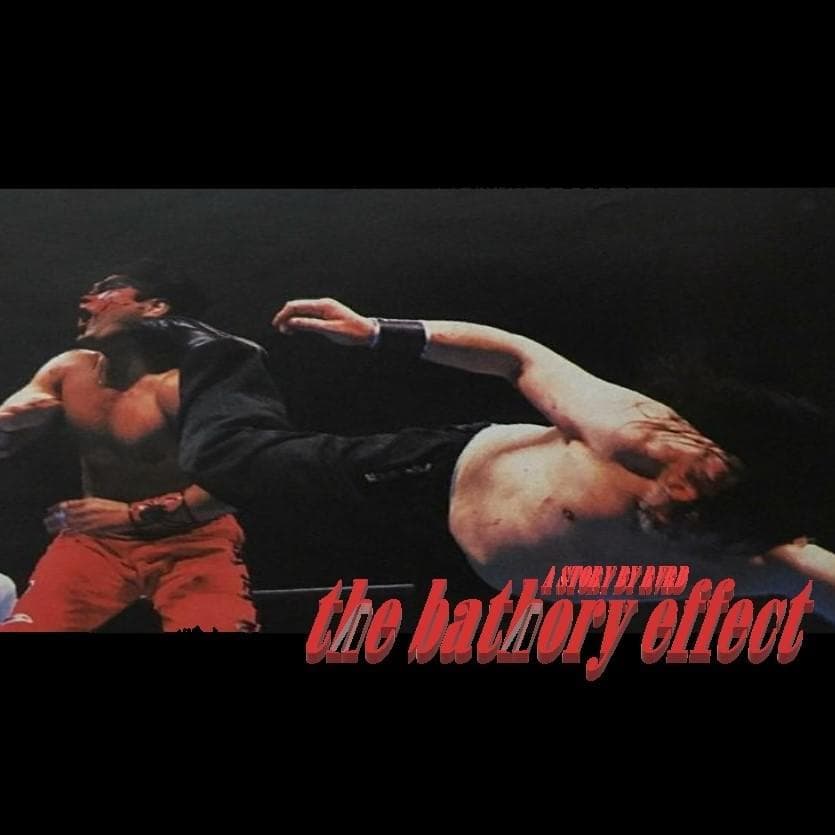 The Bathory Effect Cover Art