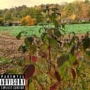 Was sie sagen Cover Art