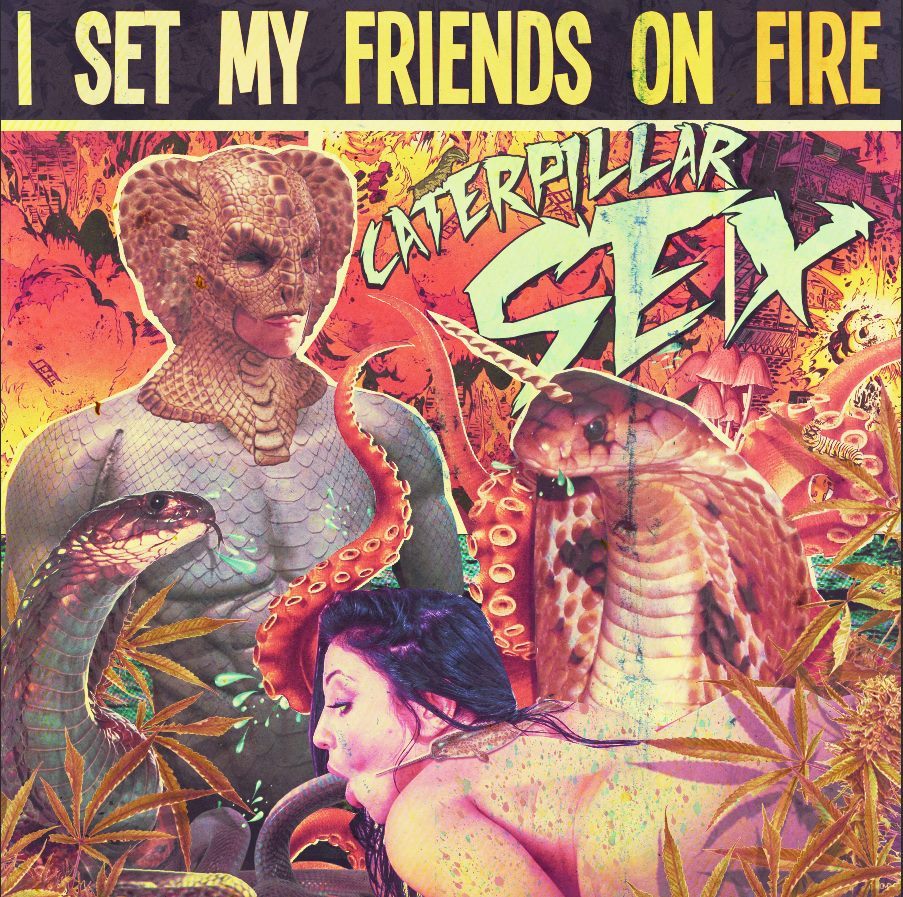 Caterpillar Sex