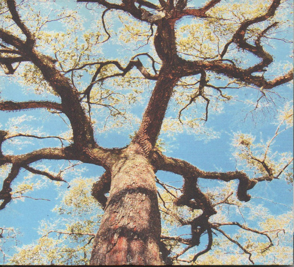 A Storm - A Tree - My Mother’s Head
