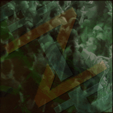 Zug Izland Live Audio Exclusive