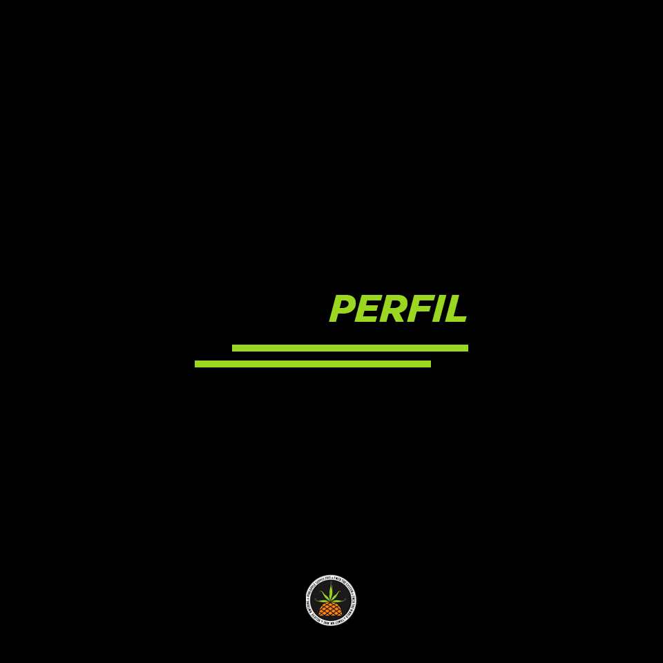 Perfil