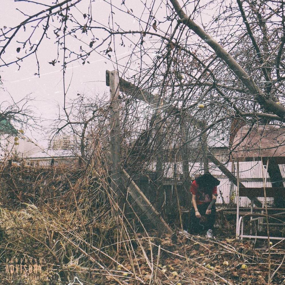 Овраг (Ravine)
