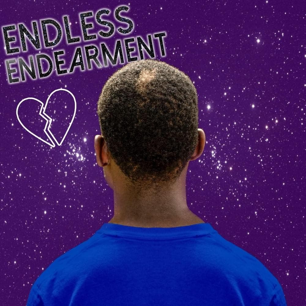 Endless Endearment Cover Art