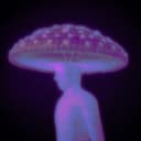 n-d cogumelo profile picture - official artist image