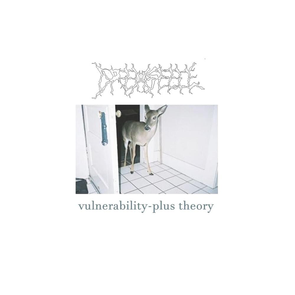 Vulnerability-Plus Theory - EP