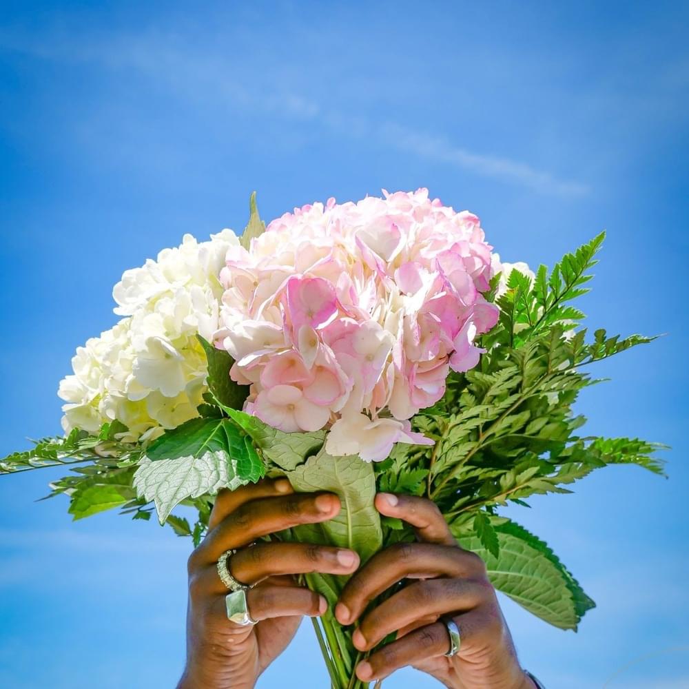 HORTENSIA