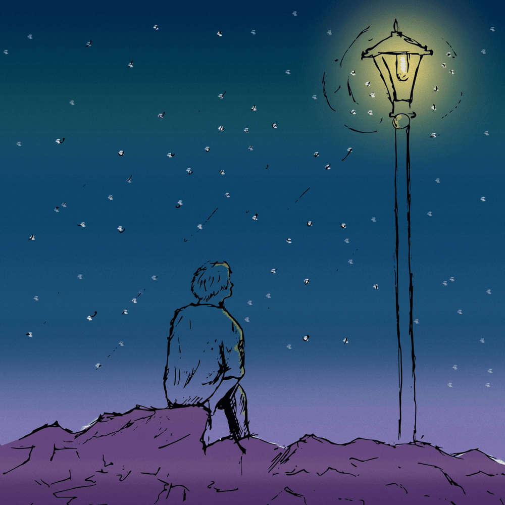 Stray Lights - EP