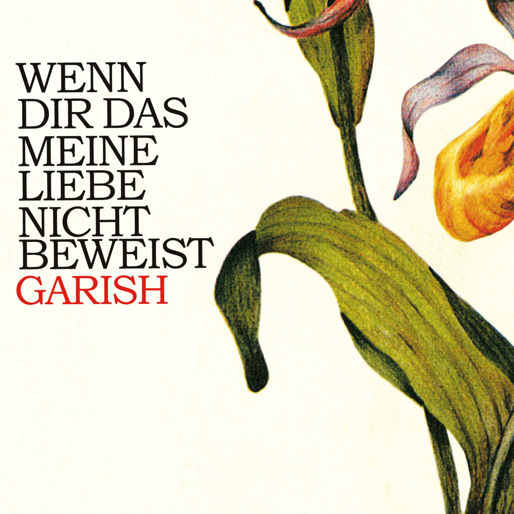 Wenn dir das meine Liebe nicht beweist