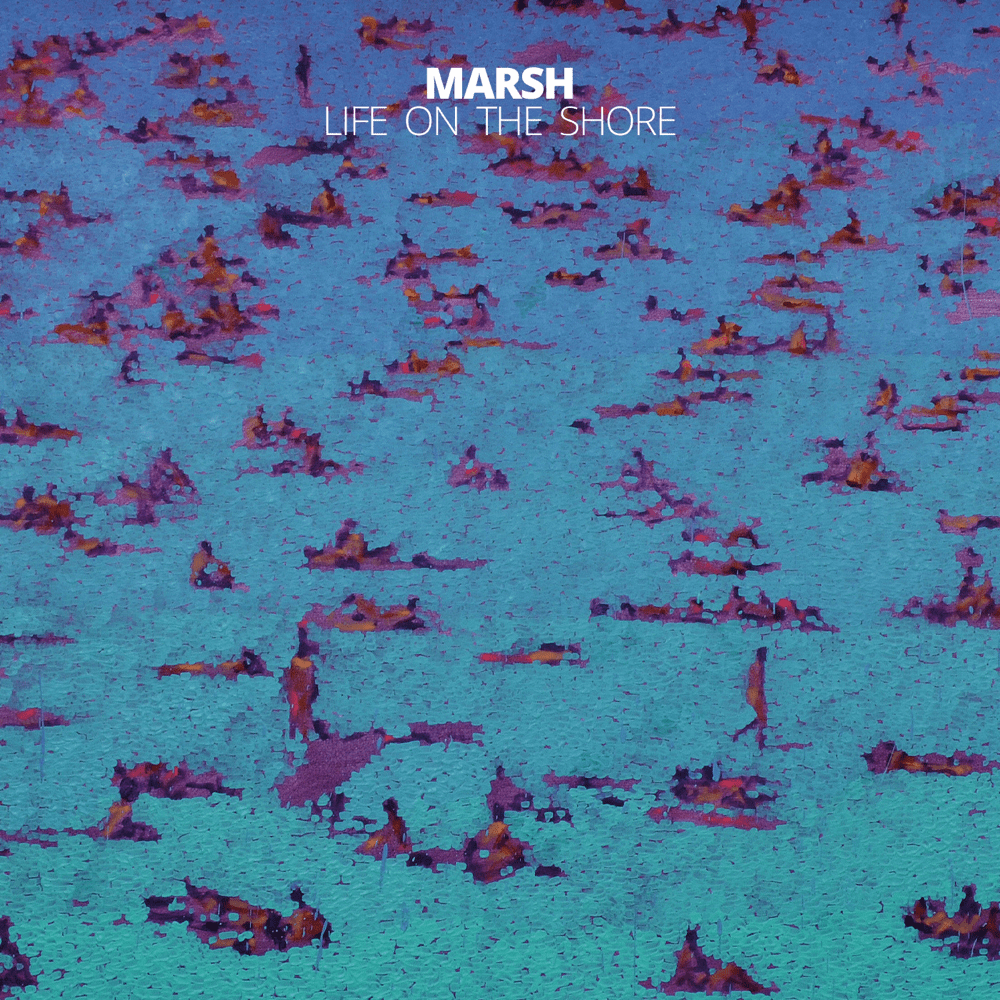 Life On The Shore