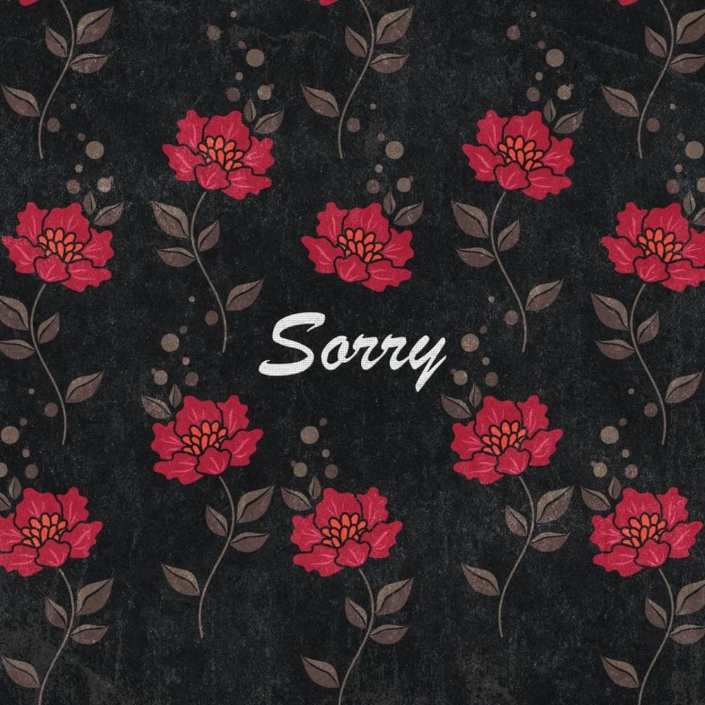 Album cover art for "SORRY" by Y-VI