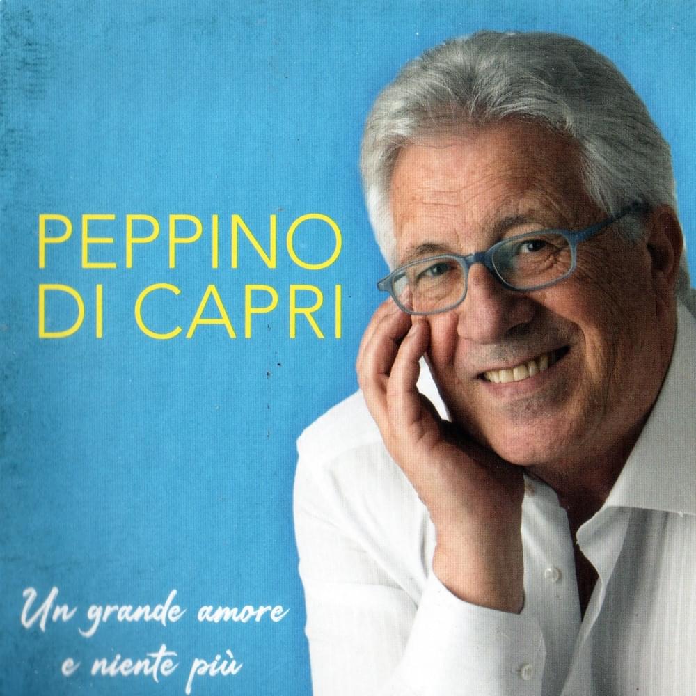 Un grande amore e niente più