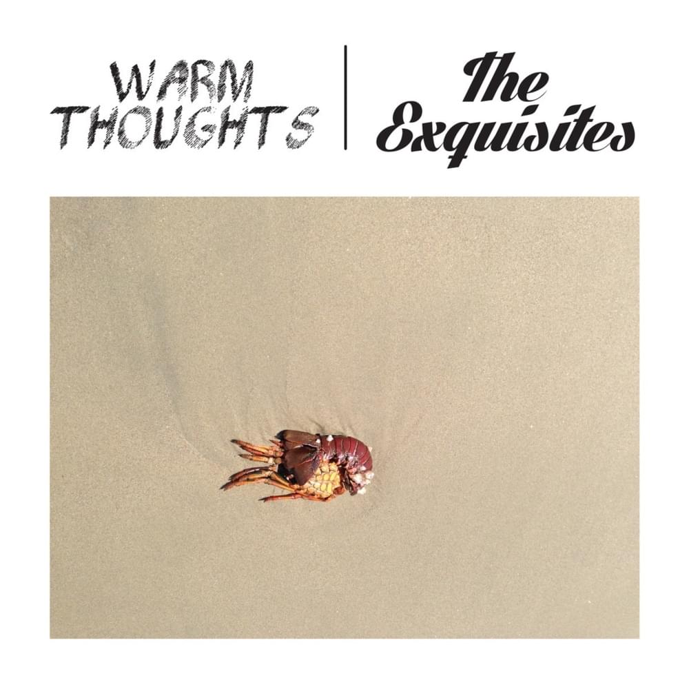 Warm Thoughts / The Exquisites Split
