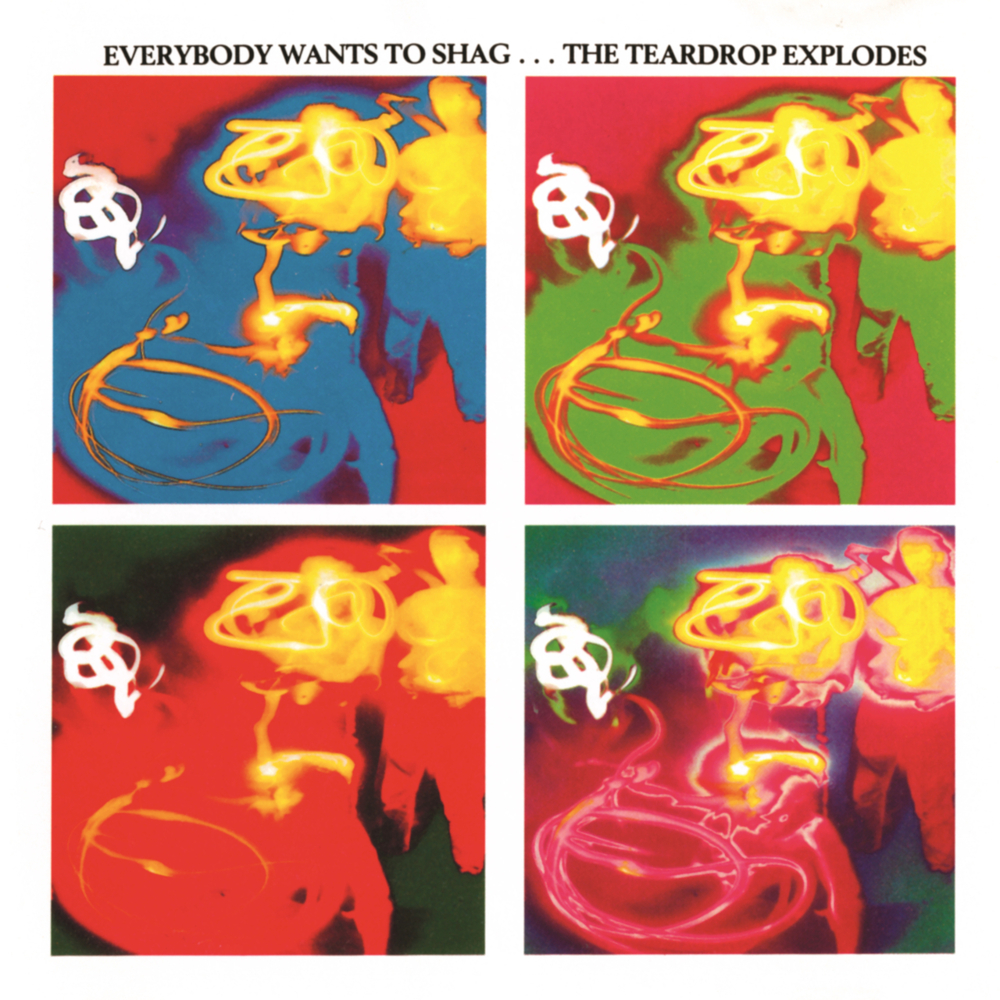 Everybody Wants to Shag...
