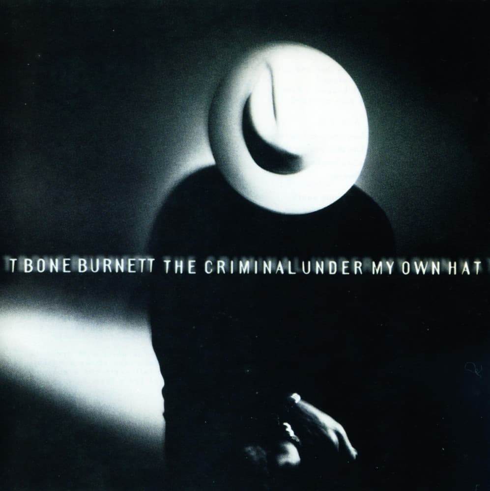 The Criminal Under My Own Hat Cover Art