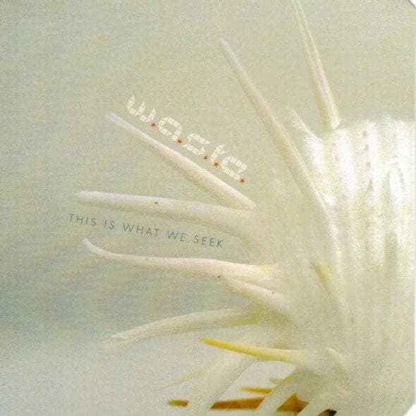 This Is What We Seek Cover Art