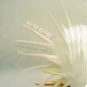 I Don't Give a Fuck Cover Art