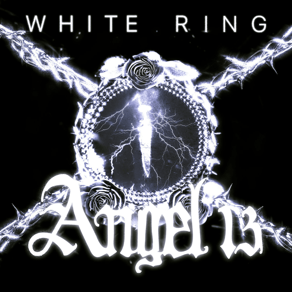 Angel 13 Volume 1