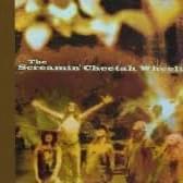 The Screamin’ Cheetah Wheelies