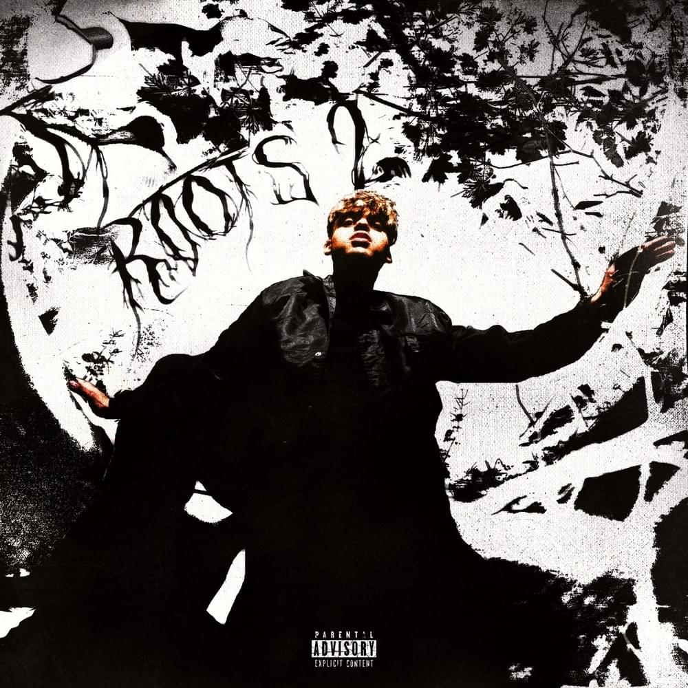 Roots 2