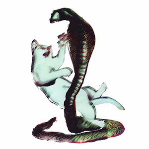 The Cat and the Cobra