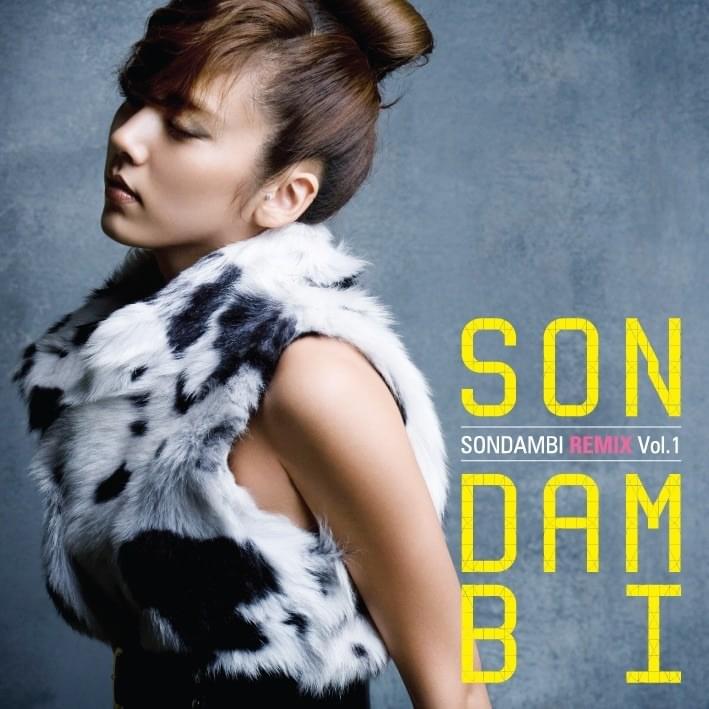 손담비 (Son Dam Bi) Remix Vol.1