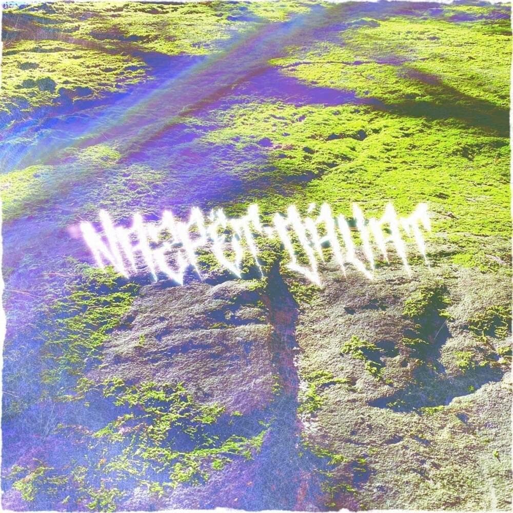 Nazpět dávat Cover Art