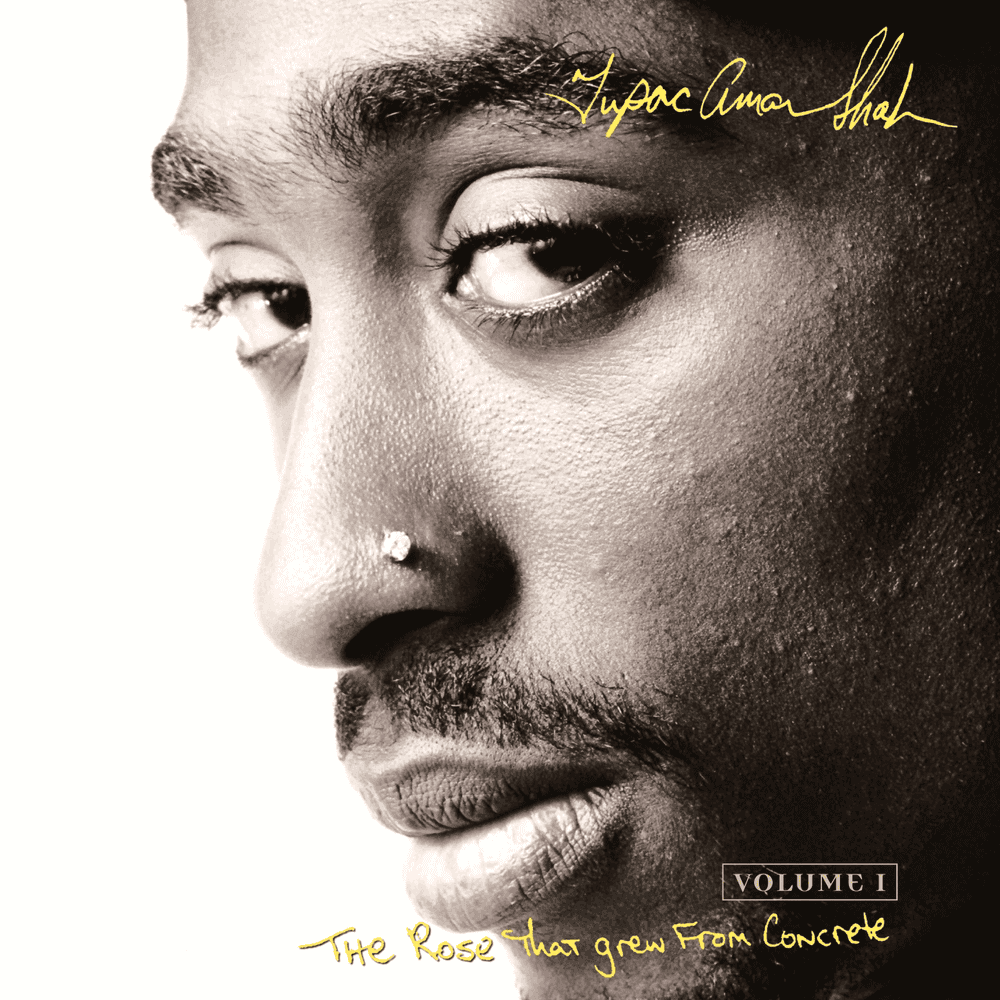 The Rose That Grew From Concrete, Vol. 1