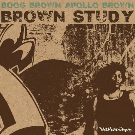 Brown Study Cover Art
