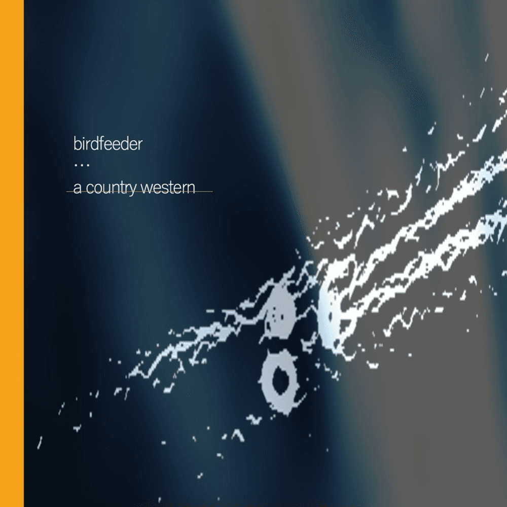 Birdfeeder Cover Art